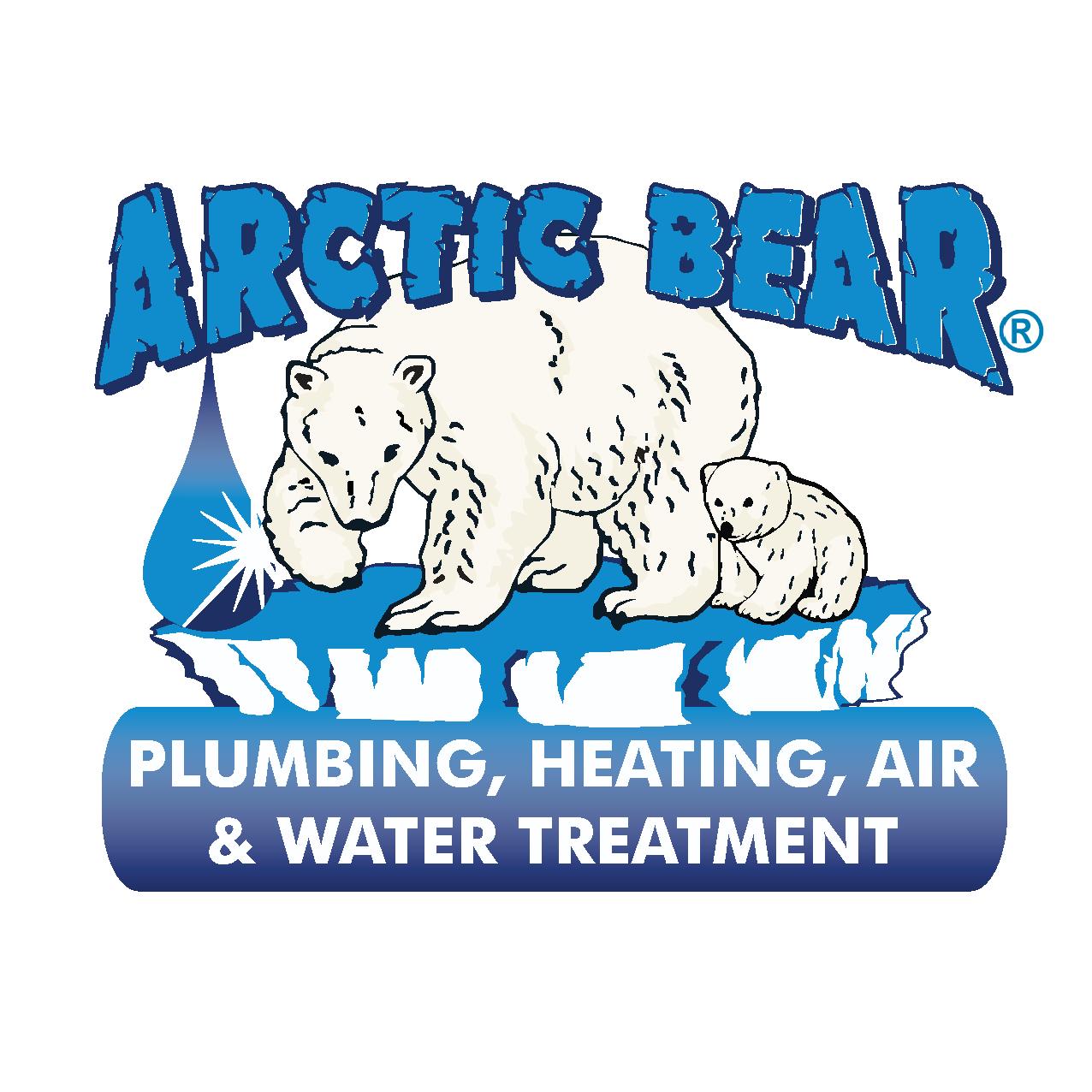 Arctic Bear